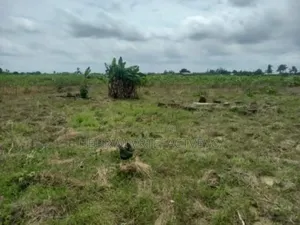 Terrain en Vente À Cocody 1080 M2