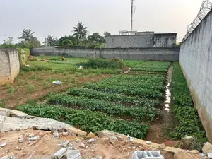 Terrain 920m2