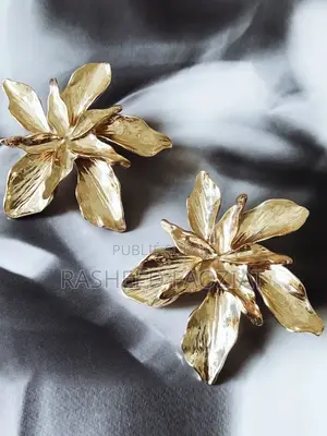 Boucle d'Oreille