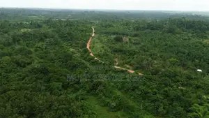 Terain Agboville