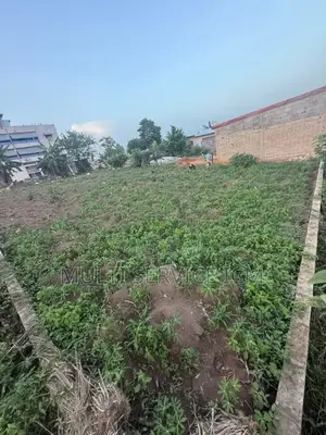 En Vente 
Terrain Bingerville Akanje