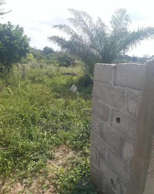 Terrains Avec Acd À Vendre À Yamoussoukro
