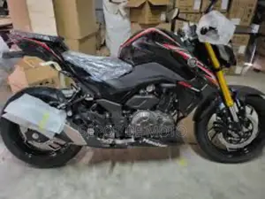 Neuf Haojue DR300 2024 Noir
