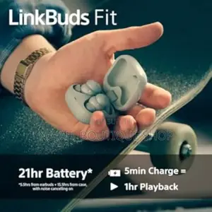 Sony Linkbudsfit