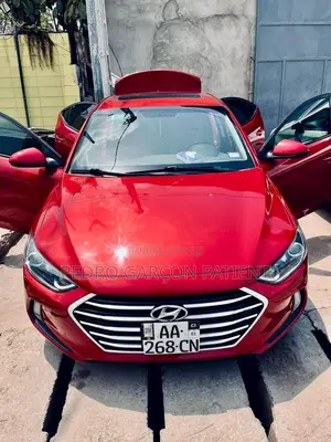 Hyundai Elantra 2019 Rouge