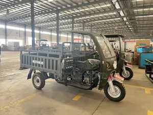 Neuf Tricycle Autre 2025 Vert