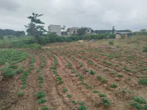 Urgent Rapide 2 Terrain l'Angle Colle
Un De 500 M2 Prix 27 Millions