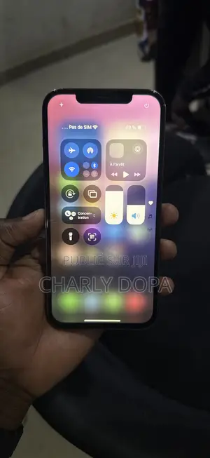 Apple iPhone 12 Pro Max 256 GB Noir
