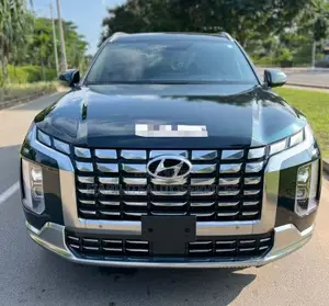 Hyundai Palissade Calligraphy AWD 2025 Vert
