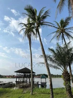 Furnished 13chbre Manoir dans Lucas Immobilier, Cocody à Vendre