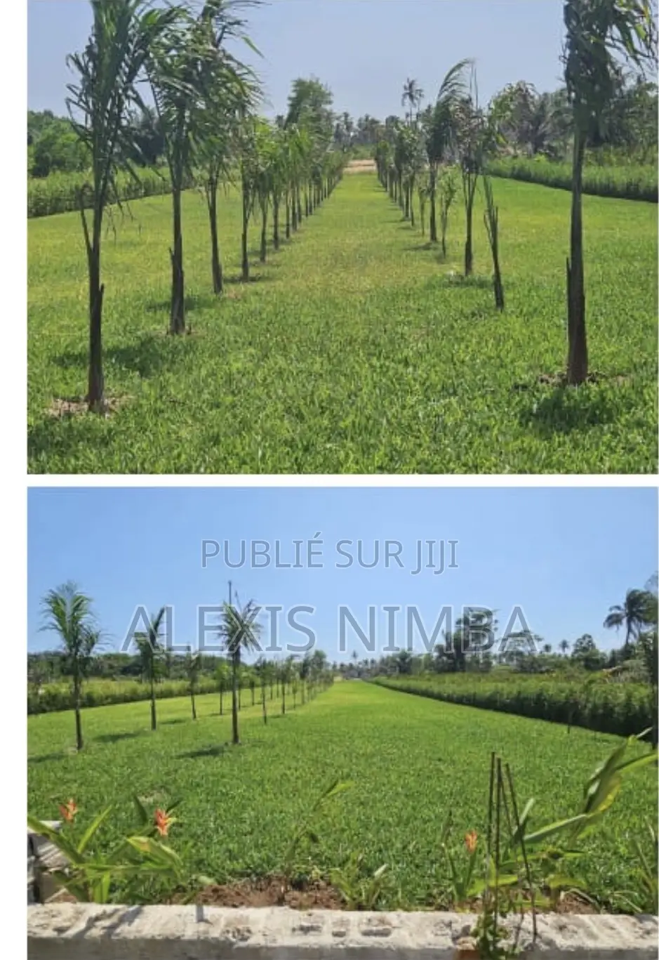 Vente Terrain Baie Des Milliardaires Île Boulay Audoin 3500m2 Doc CPF
