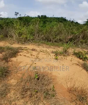 Terrain en Vente