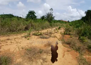 Terrain en Vente