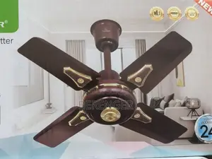 Ventilateur De Plafond 24 Pouces Leadder