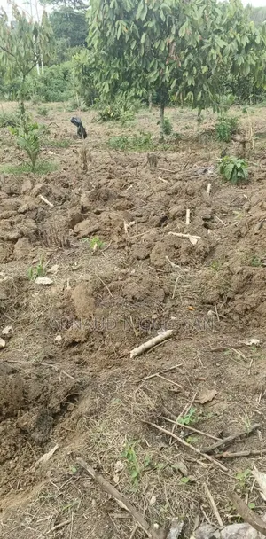Terrain Crédit