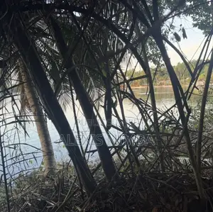 En Vente 1hectare Acd Pieds Dans Lagune À La Baie Des Milliardaires