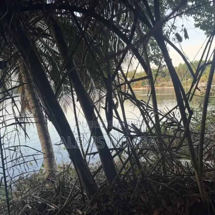 En Vente 1hectare Acd Pieds Dans Lagune À La Baie Des Milliardaires