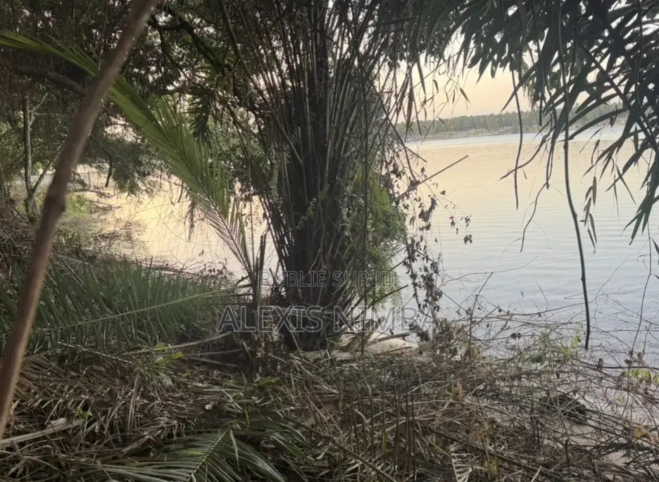 En Vente 1hectare Acd Pieds Dans Lagune À La Baie Des Milliardaires