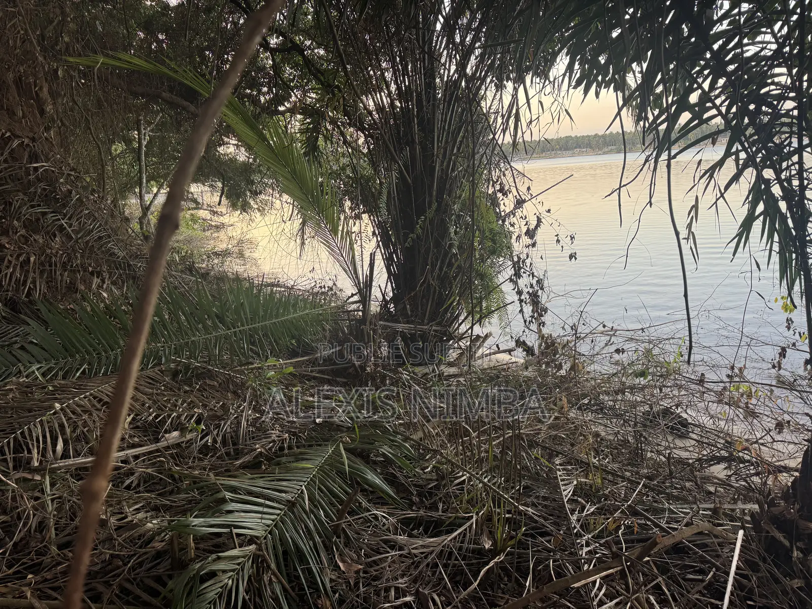 En Vente 1hectare Acd Pieds Dans Lagune À La Baie Des Milliardaires