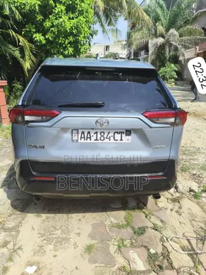 Toyota RAV4 2020 Autre