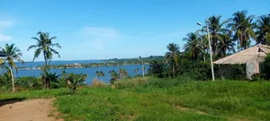 2 Hectares a Vendre Documents Attestation Villageoise Prix 50 Millions