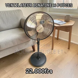 Ventilateur Binatone 16 Pouces
