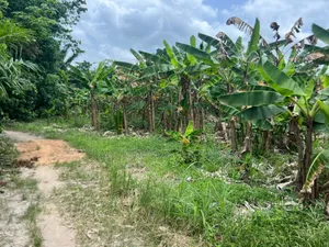 Ferme Agricole a Vendre