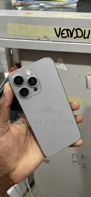 Apple iPhone 15 Pro Max 256 GB Argenté