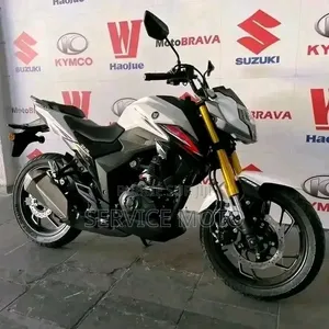 Nouveau Haojue DR300 2025 Autre