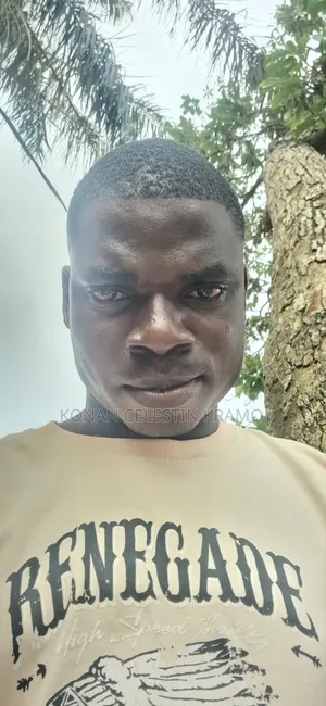 Je Cherche Du Boulot