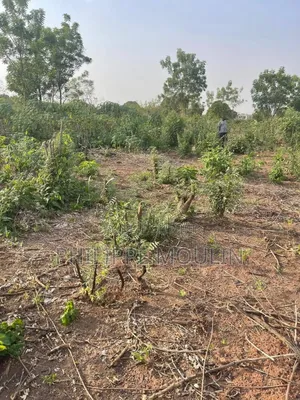 Terrain En Vente A Yamoussoukro