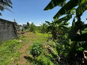 Terrain a Vendre a Yamoussoukro Kokrenou