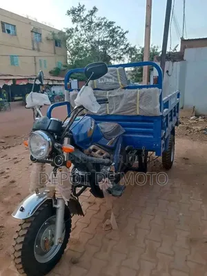 Nouveau Tricycle Autre 2025 Bleu