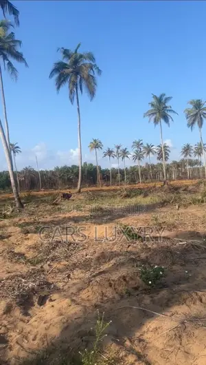 Jacqueville. Terrain 5 Hectares Acd