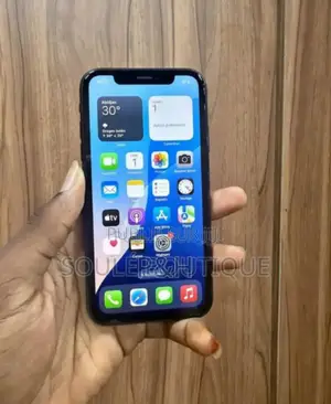 Apple iPhone X 256 GB Autre