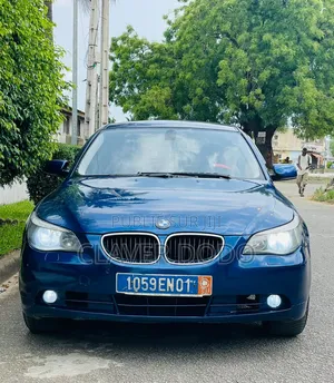BMW 5 Series 2005 Bleu