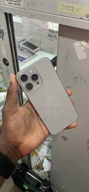 Apple iPhone 15 Pro Max 256 GB Argenté