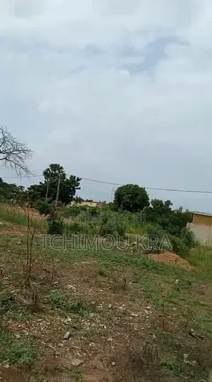 Vente Terrain 1000m2 Yamoussoukro Kami