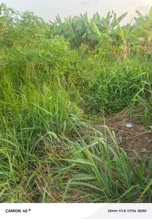 Vente Terrain 800m2 Yamoussoukro Morofé Katakoubo