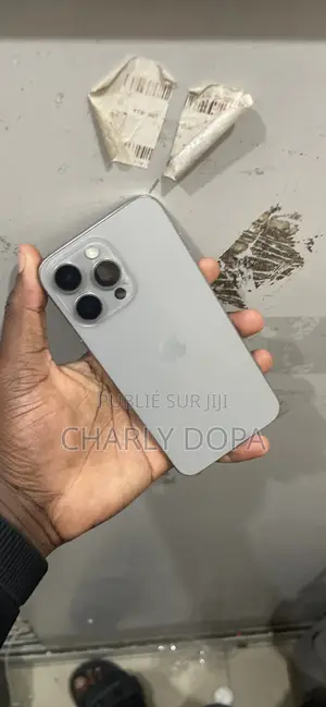 Apple iPhone 15 Pro Max 256 GB Argenté