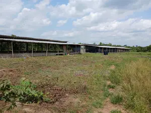 Ferme en Vente À Toumodi