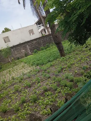 M'pouto Terrain 750m2 Très Bien Placé en Face Du Carrefour Sol Béni