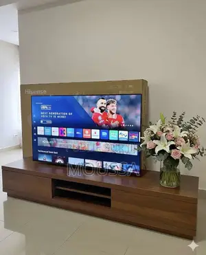 Vente De Télévision
