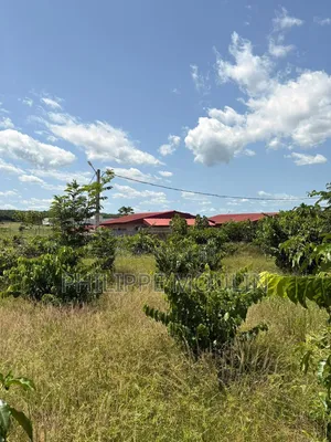 Terrain a Vendre a Bonoua