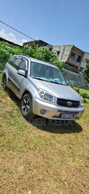 Toyota RAV4 2006 Gris