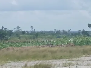Terrain en Vente a Yamoussoukro Kokrenou Ouest