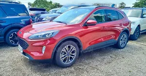 Ford Escape 2019 Rouge