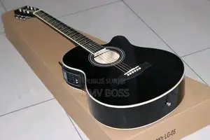 Guitare Acoustique Et Électronique