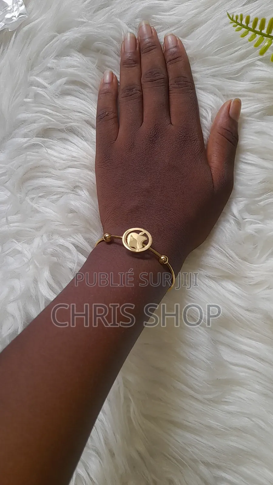 Nous Avons Les Bracelets
