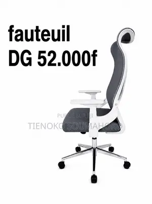 Chaises De Bureau /Chaises Dg